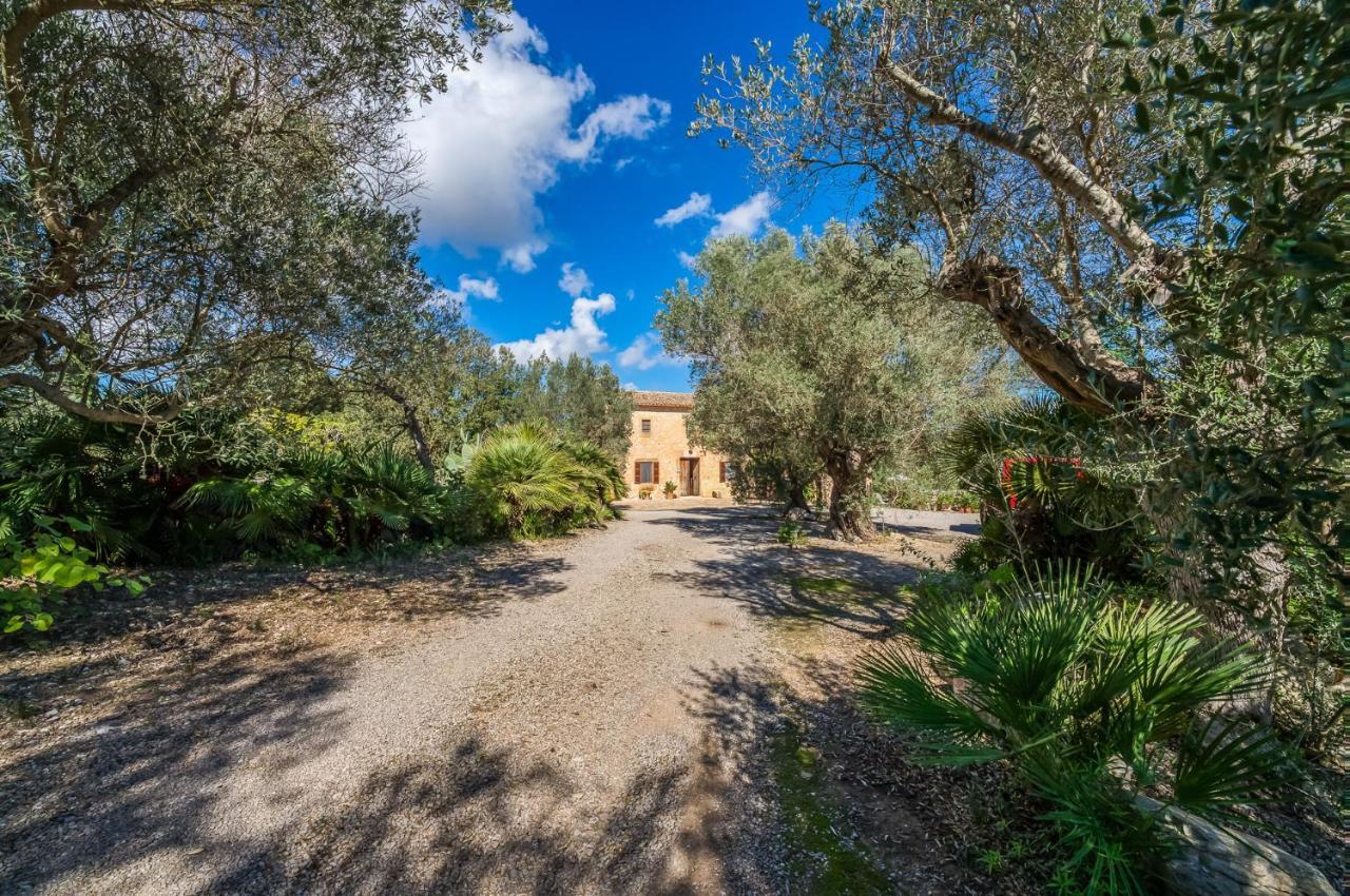 Finca Son Gener Can Teula Son Servera  Εξωτερικό φωτογραφία